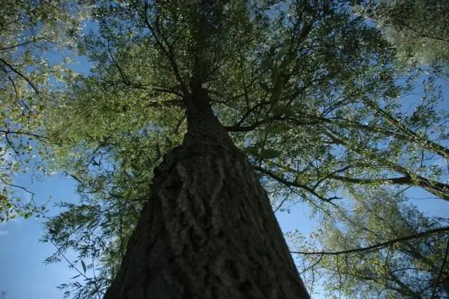 Lovin' Обслуживание клиентов через Twitter