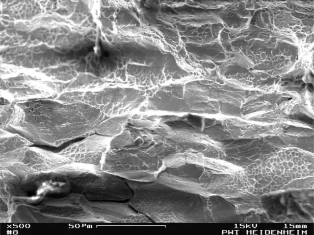 «Мультиспектральные очки» для сканирующей электронной микроскопии