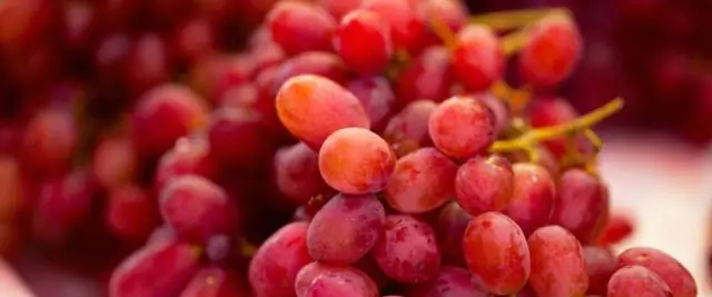 Ученые заставили капли двигаться сами по себе