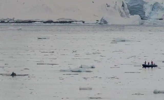 Спутниковые снимки проливают свет или его отсутствие на влияние сирийского конфликта