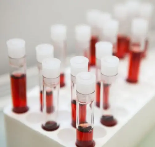 Гидрогелевый суперклей на 90 процентов состоит из воды: новый «водный клей» прочнее натуральных клеев, используемых мидиями и ракушками