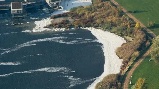 Метаболический путь цианобактерий может дать лучшее биотопливо, биопродукты фотосинтеза