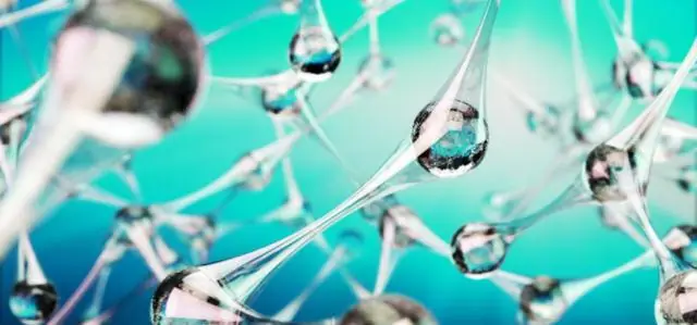 Маленькие комочки в организме: как наночастицы реагируют на белки