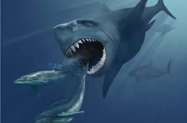 Величайший гонщик Формулы-1 всех времен