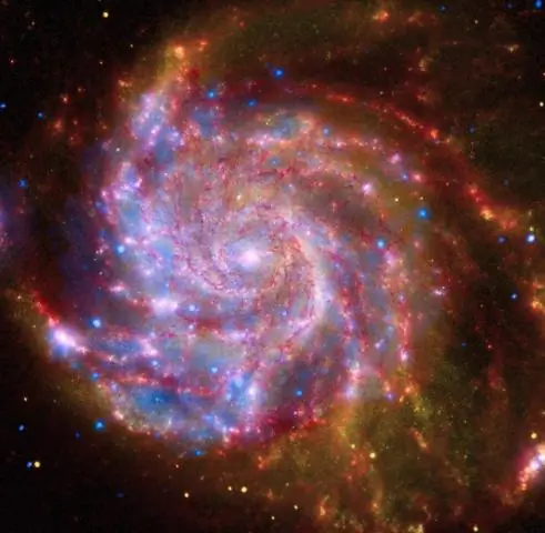 Наблюдение за коллективными квантовыми модами в реальном времени