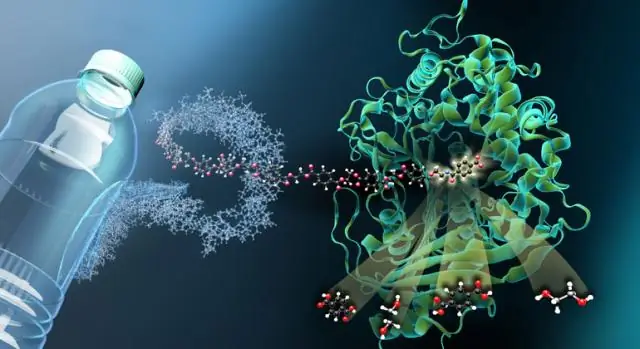 «Молекулярные ножницы» для пластиковых отходов: расшифрован фермент MHETase