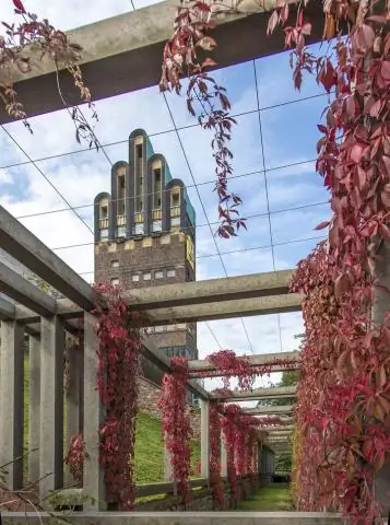 Первое крупное открытие в области гидроформилирования за 50 лет