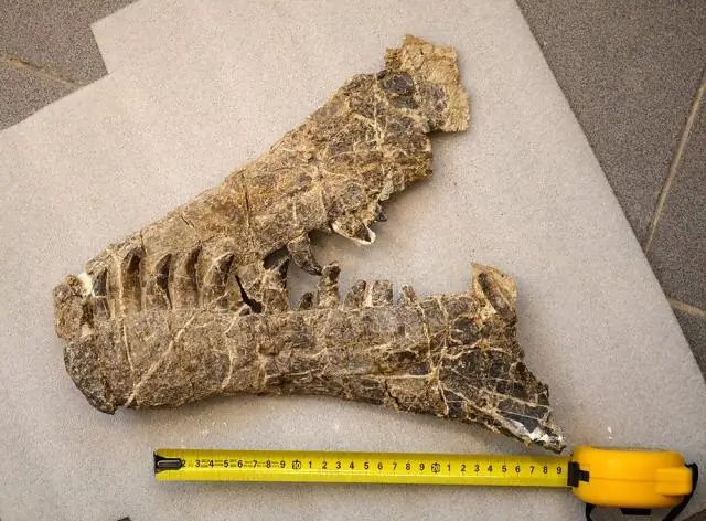 Взрывное происхождение «вторичного» льда и снега