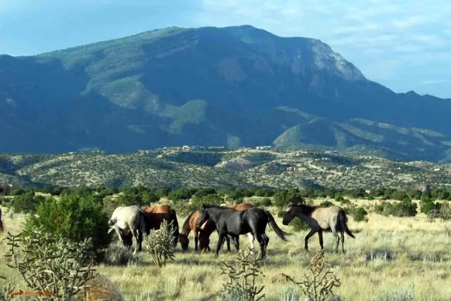 Ученый из Sandia, коллега, предположил, что метеоритные шлейфы вызывают временные темные пятна в верхних слоях атмосферы