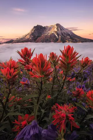 Интересное фото дня: инверсия облаков на горе Сент-Хеленс