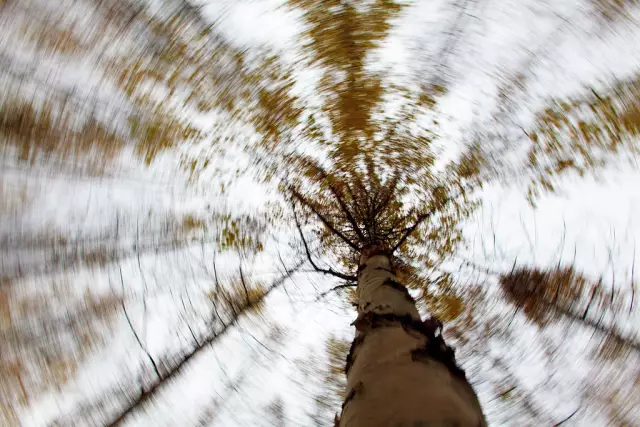 Как создать абстрактную фотографию рефрактографа