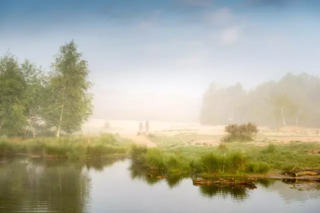 6 шагов к улучшению фотографий природы