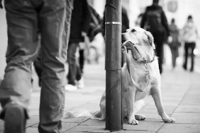 Советы по отличной уличной фотографии