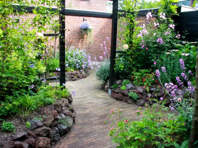 Советы по фотографии заднего двора