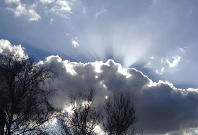 Что делает фотографию хорошей?