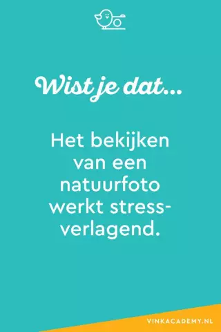 10 лучших советов, как начать заниматься фотографией