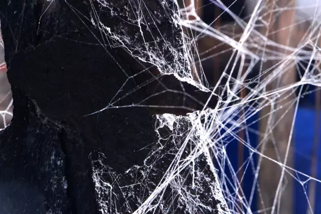 Контракты на фотосъемку