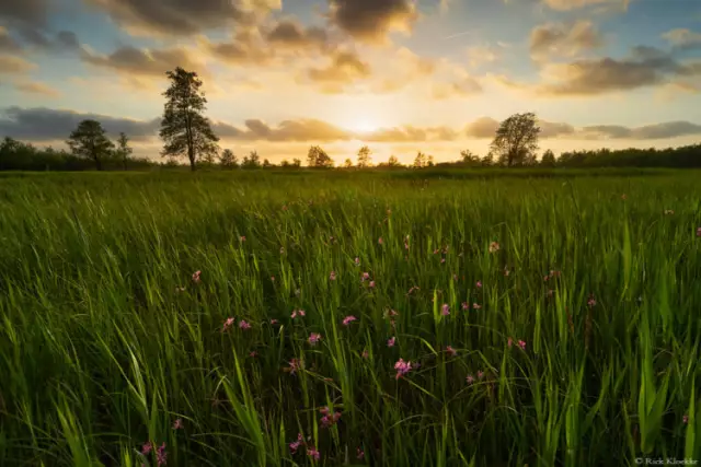 Используйте глубину резкости, чтобы сделать фотографию звездой
