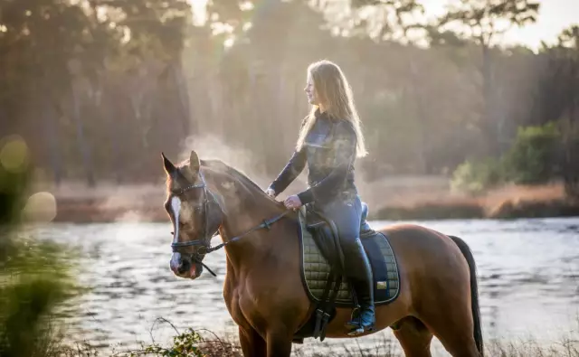 Как осветить натурные портреты с лошадьми