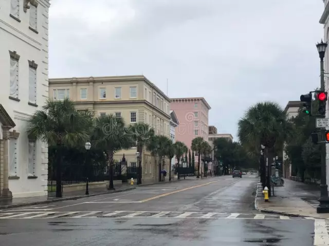 Предвкушение в фотографии