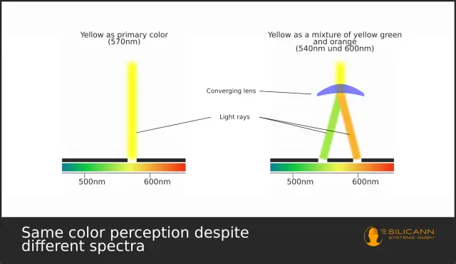 Метамерия, это великое неизвестное