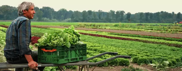 Органические профили: фотоконкурс привлекает внимание к органическим фермерам