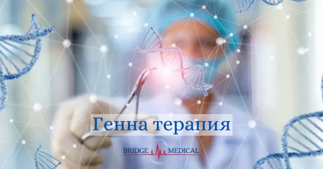 Генная терапия излечивает крыс от эпилепсии