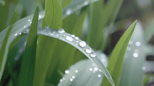 Топливные элементы снабжают электричеством припаркованные грузовики