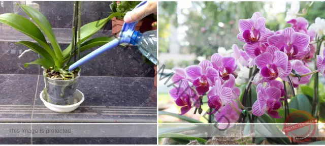 Сколько азота содержится в океане?