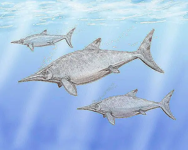 Необычно долгий период покоя солнца