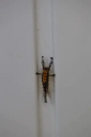 Горькая правда о пиве приходит в голову