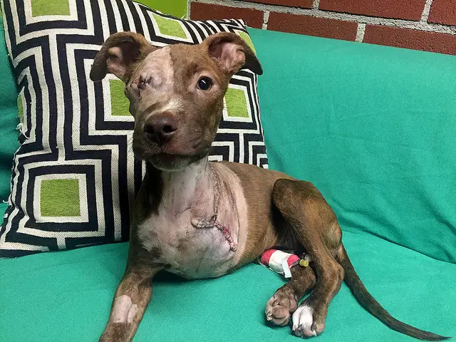 Bad to the Bone: у кислотных пробок есть обратная сторона