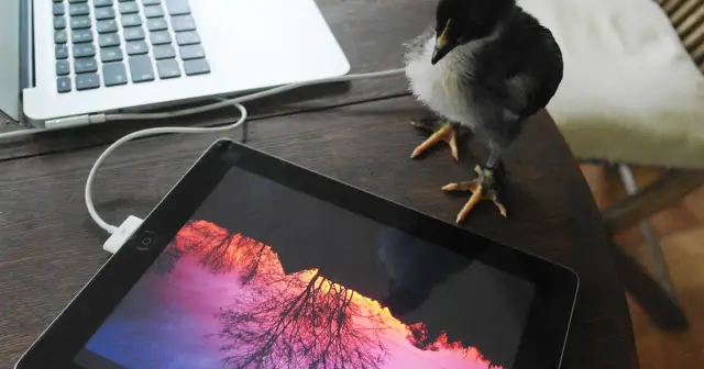 Почему индустрия электронных отходов любит iPad