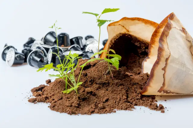 Приготовление стульев из выброшенной кофейной гущи