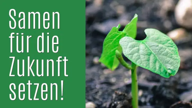 100 семян устойчивого будущего: Часть 10