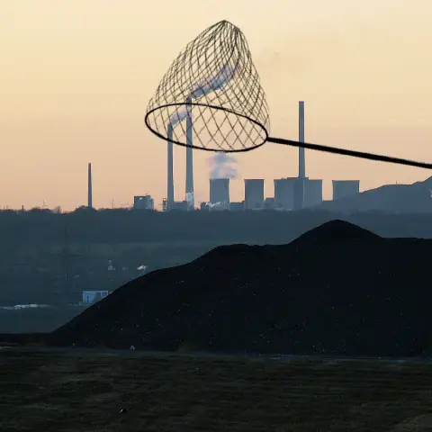 Улавливание углерода - единственный способ решить проблему климатических слепых зон в мире