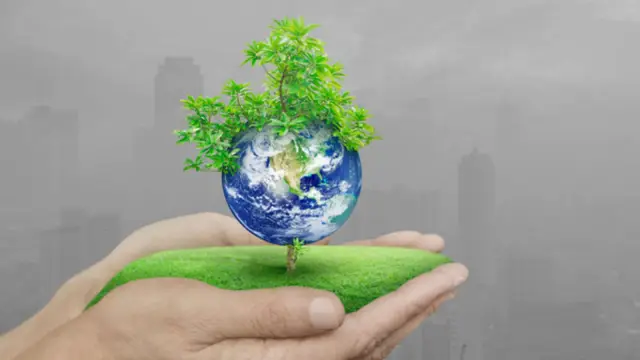 Компании используют Всемирный день окружающей среды, чтобы привлечь работников к борьбе с изменением климата