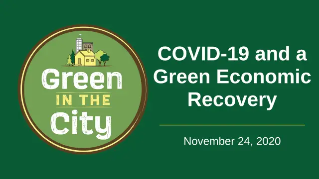 Быстрое восстановление «зеленой» экономики: несколько советов новому Конгрессу