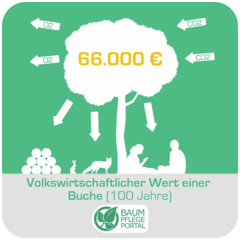 Стоимость ввода здания в эксплуатацию