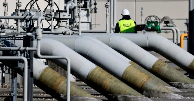 Огненные муравьи и трубопроводы: как бизнес может стать партнером для сохранения биоразнообразия