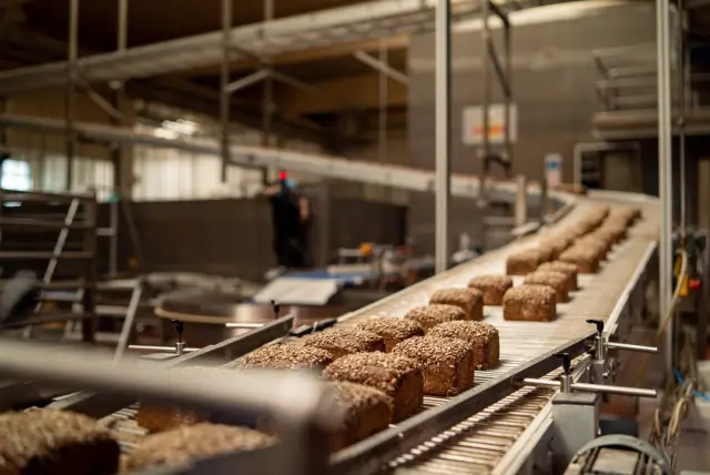 Как пищевая промышленность создала рынок индюшачьих хвостов