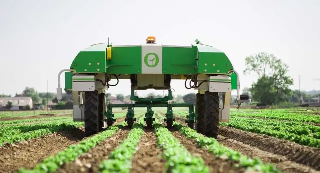 Органическое земледелие с редактированием генов: оксюморон или инструмент устойчивого сельского хозяйства?