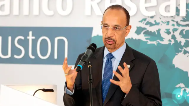 Первая в истории награда за достижения в корпоративном парке досталась горнодобывающей компании