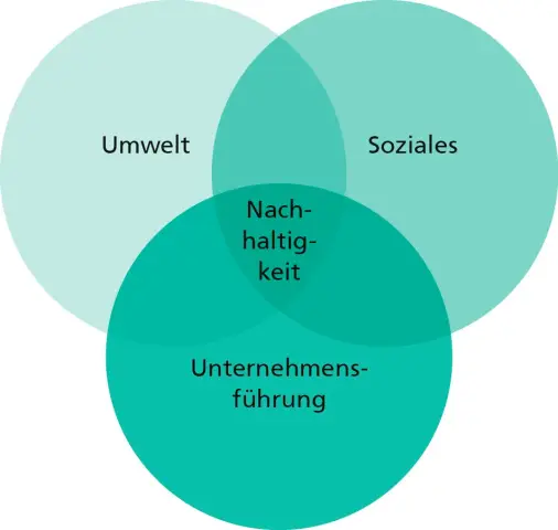 Как ваша компания может выбрать между E, S и G?