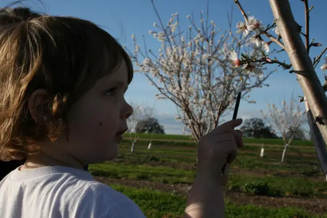 Журнал промышленной экологии делает упор на экоэффективность