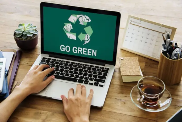 Использование «зеленых» ИТ в практике устойчивого ведения бизнеса