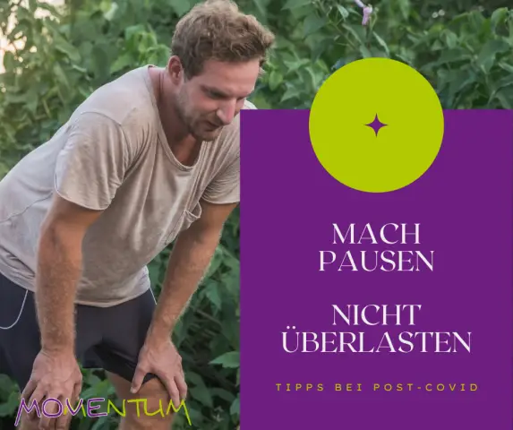 Как OneReport борется с «усталостью от исследований в области устойчивого развития»