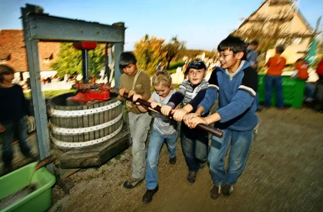 Работа над обеспечением устойчивости на национальном уровне с использованием регионального подхода