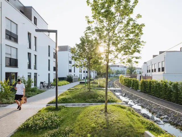 Бизнесу необходимо инвестировать в зеленую инфраструктуру