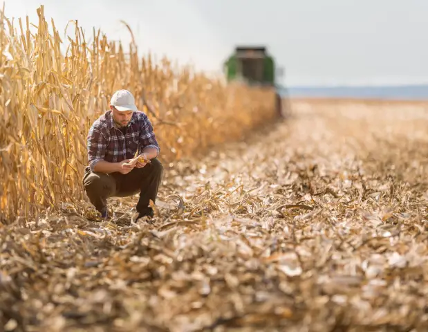 Могут ли кооперативы спасти маленькие фермы Америки?